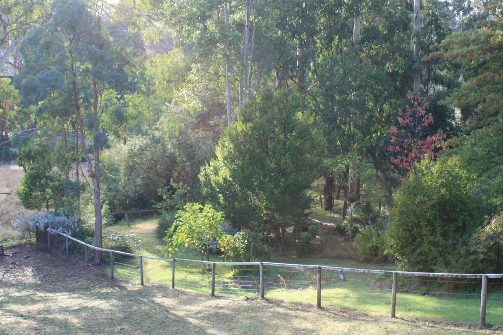 Strathmore Farm B&B Mirboo North Buitenkant foto