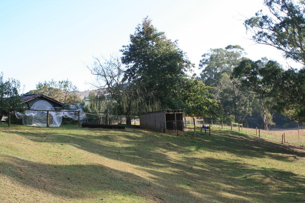 Strathmore Farm B&B Mirboo North Buitenkant foto