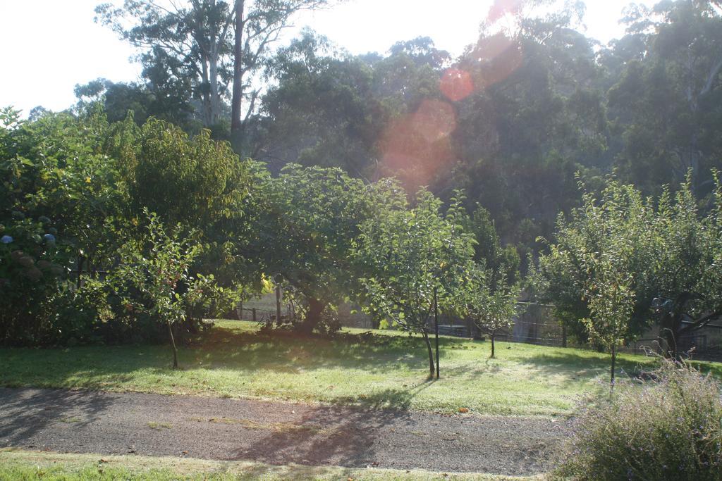 Strathmore Farm B&B Mirboo North Buitenkant foto