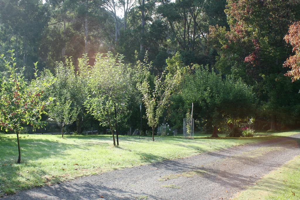 Strathmore Farm B&B Mirboo North Buitenkant foto