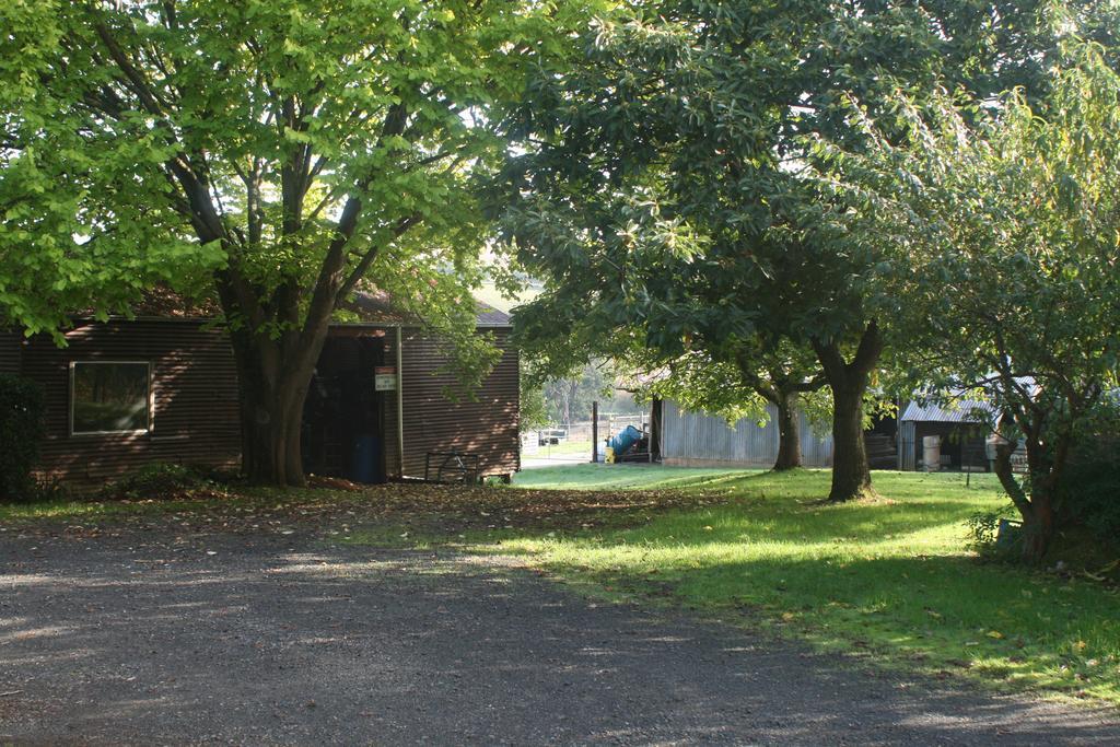 Strathmore Farm B&B Mirboo North Buitenkant foto